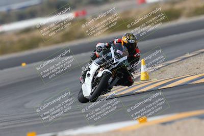 media/Jan-19-2024-Apex Assassins-CVMA Friday (Fri) [[74e94f2102]]/Trackday 1/Session 2 (Turn 11)/